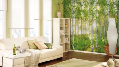 Fotomurales Naturaleza y Bosques