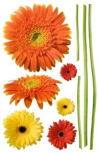 Wallsticker flor gerberas 1551-1 Decolife Muresco