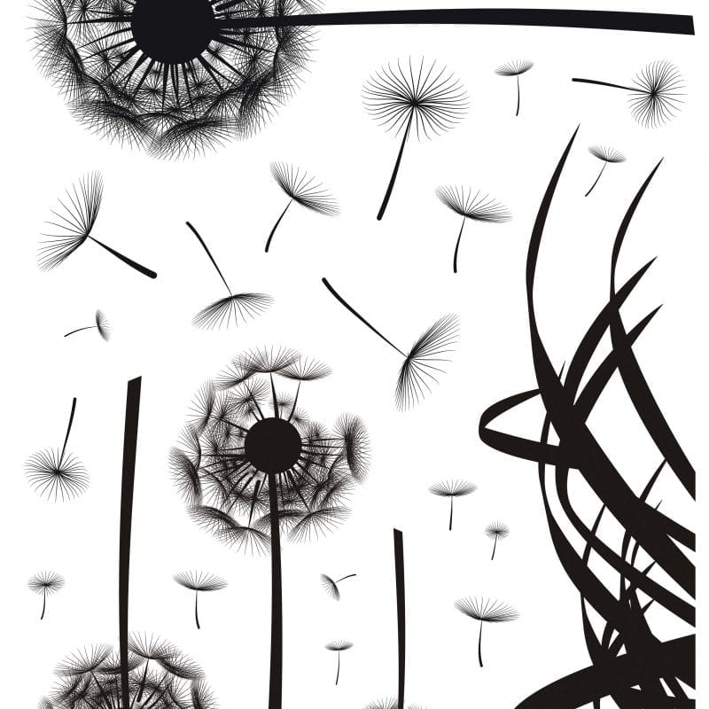 Wallsticker Flor negra 1573 Decolife - Muresco