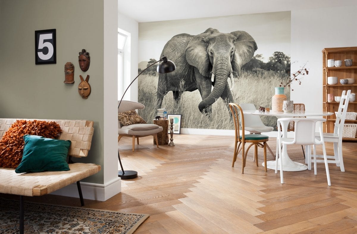 fotomural elefante 4-529 Komar