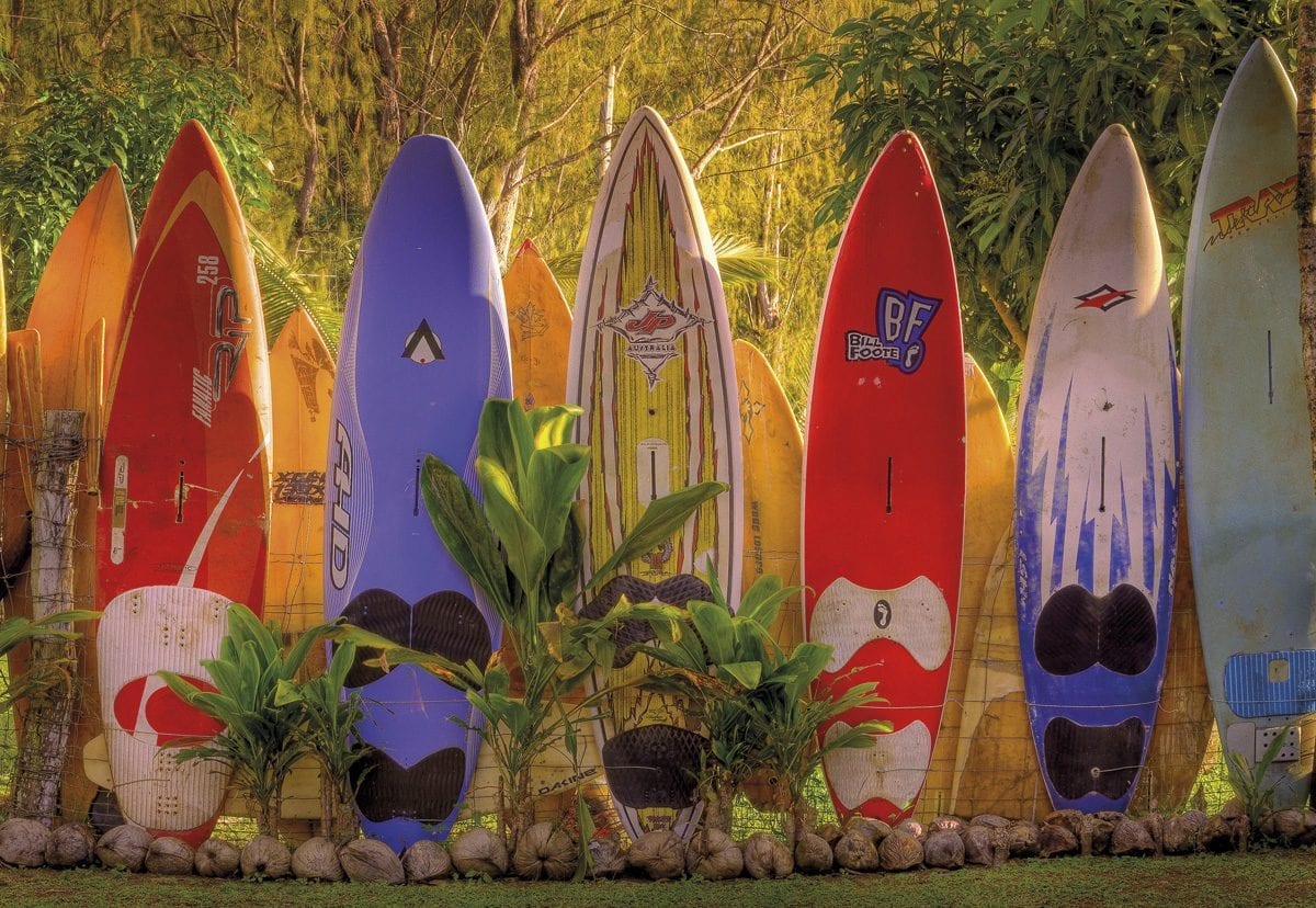 Fotomural Tablas de Surf Maui 8902 Komar