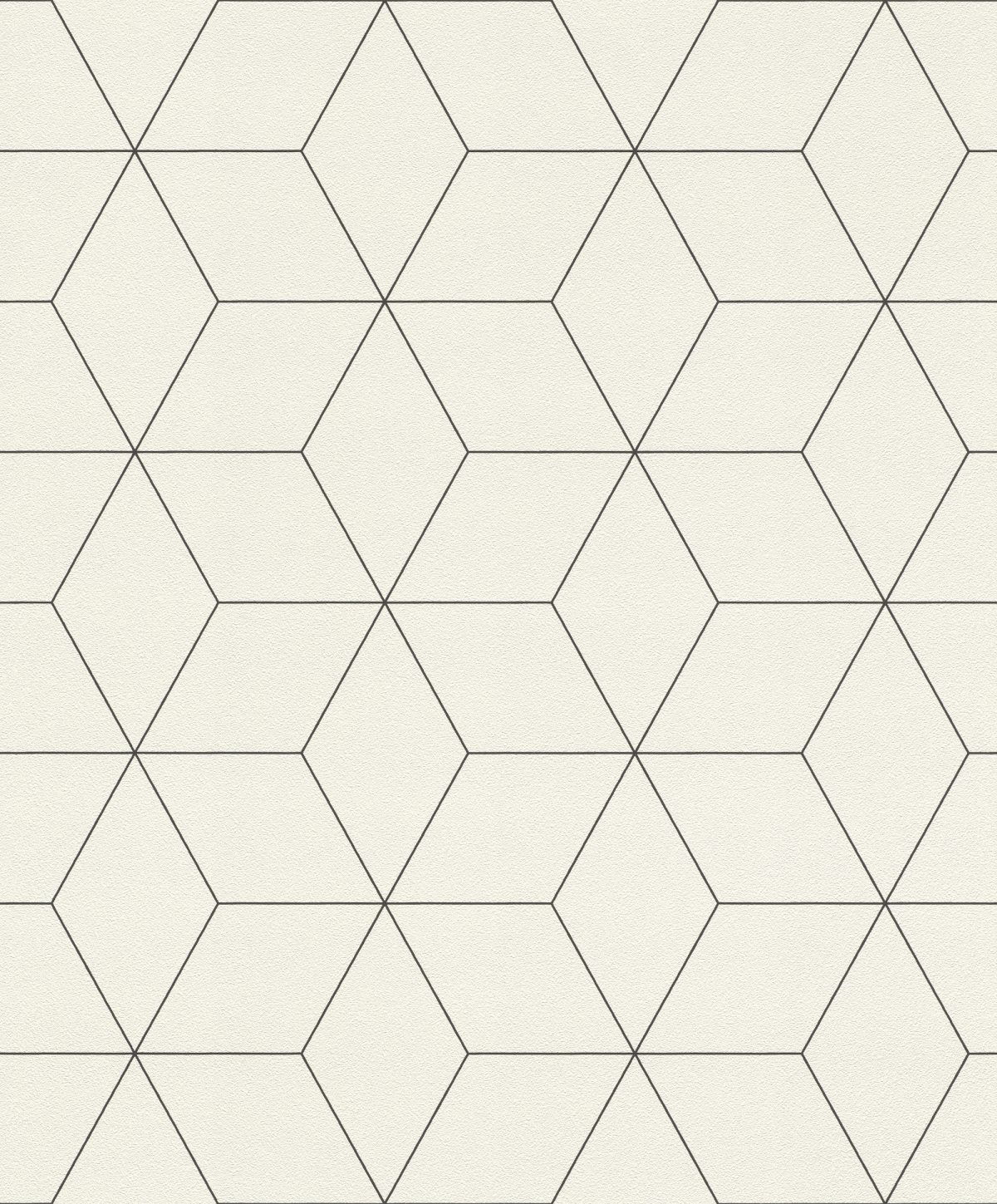 Papel mural blanco con diseños geometricos negros HYDE PARK 624304 RASCH