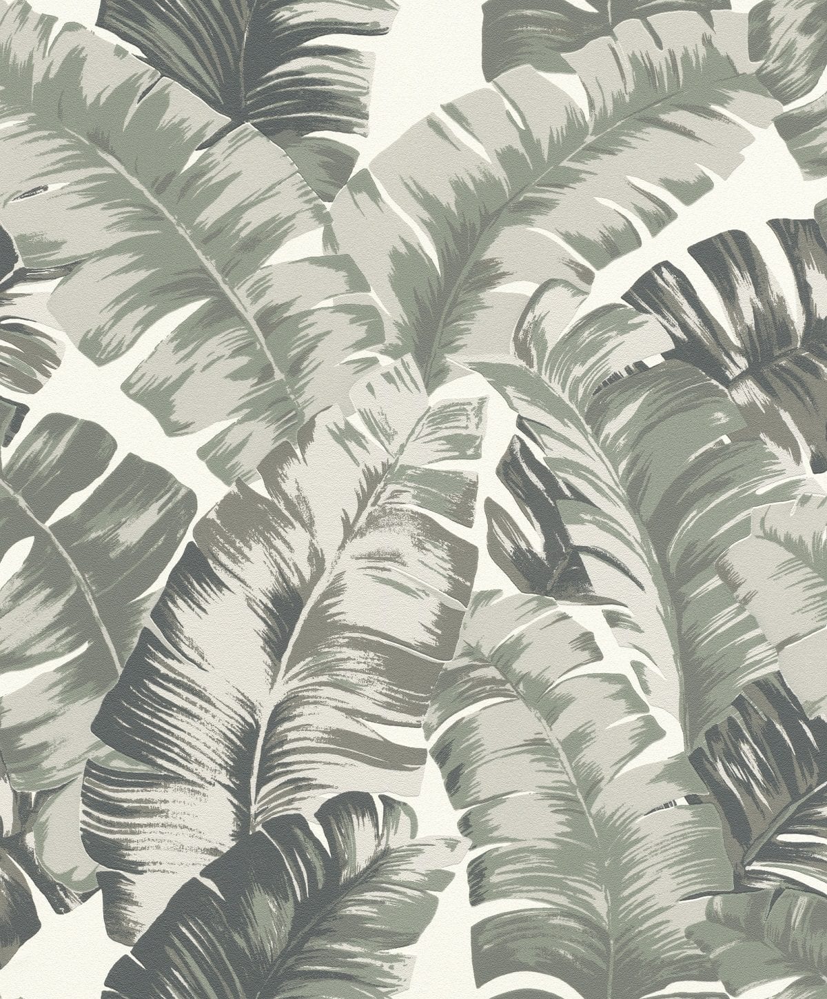 Papel mural hojas tropical verde YUCATAN 535600 Rasch