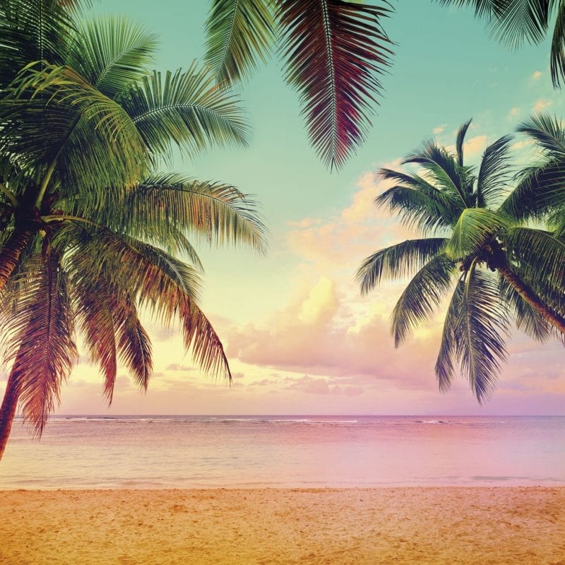 FOTOMURAL MIAMI - 8967