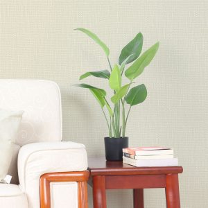 Papel mural VIVA LA CASA 569-1