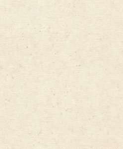 Papel mural CONCRETE 520835