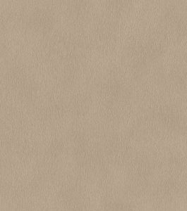 Papel mural Catálogo LIRICO 751055 - RASCH