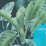 Club Botanique -Liquidación Final