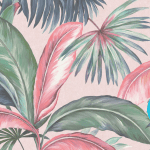 Aura & Capsula -50% off | MURESCO