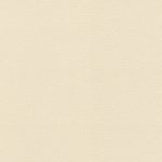 Papel mural Beige textura 555837 | Colección LIVERNA