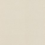 Papel mural Gris claro textura 555844 | Colección LIVERNA