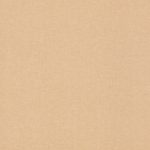 Papel mural Café 252866 | Colección KIDS